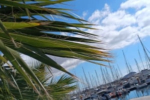 Tenerife: PRIVAT katamaran-cruise med lunsj og drikkevarer