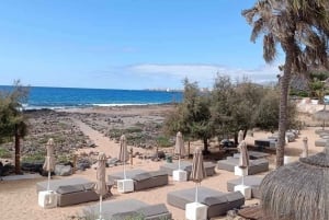 Tenerife: PRIVAT katamaran-cruise med lunsj og drikkevarer