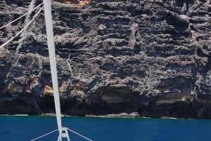 Teneryfa: PRYWATNY rejs katamaranem z lunchem i napojami