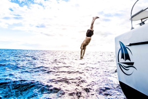 Teneryfa: PRYWATNY rejs katamaranem z lunchem i napojami