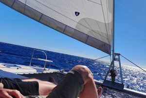 Teneryfa: PRYWATNY rejs katamaranem z lunchem i napojami