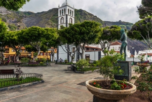 Tenerife: Private Day Tour of the Island with Hotel Pickup
