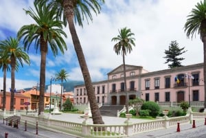 Tenerife: Excursão privada de um dia pela ilha com embarque no hotel