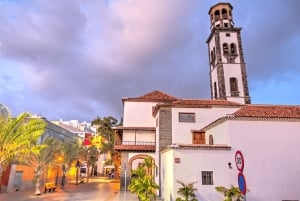 Tenerife : Visite privée de l'île en journée avec prise en charge à l'hôtel