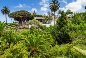Tenerife : Visite privée de l'île en journée avec prise en charge à l'hôtel