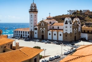Tenerife : Visite privée de l'île en journée avec prise en charge à l'hôtel