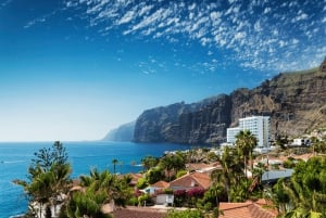 Tenerife : Visite privée de l'île en journée avec prise en charge à l'hôtel