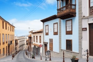 Tenerife : Visite privée de l'île en journée avec prise en charge à l'hôtel