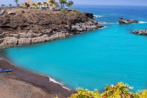Tenerife : Visite privée de l'île en journée avec prise en charge à l'hôtel