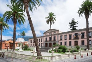 Tenerife : Visite privée de l'île en journée avec prise en charge à l'hôtel