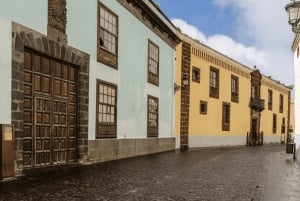 Tenerife : Visite privée de l'île en journée avec prise en charge à l'hôtel