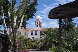 Tenerife : Visite privée de l'île en journée avec prise en charge à l'hôtel