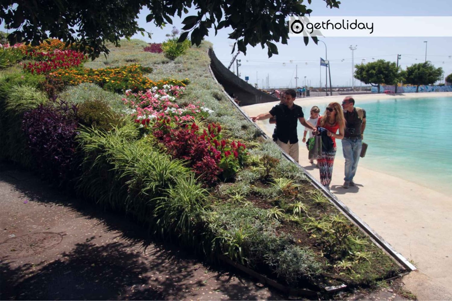 テネリフェ島：ホテル送迎付きのプライベート日帰り旅行