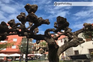 テネリフェ島：ホテル送迎付きのプライベート日帰り旅行