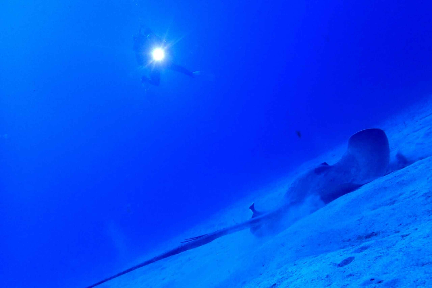 Tenerife: mergulho privado para iniciantes em um barco