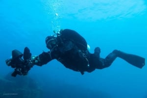 Teneriffa : Yksityinen sukellus aloittelijoille veneestä käsin