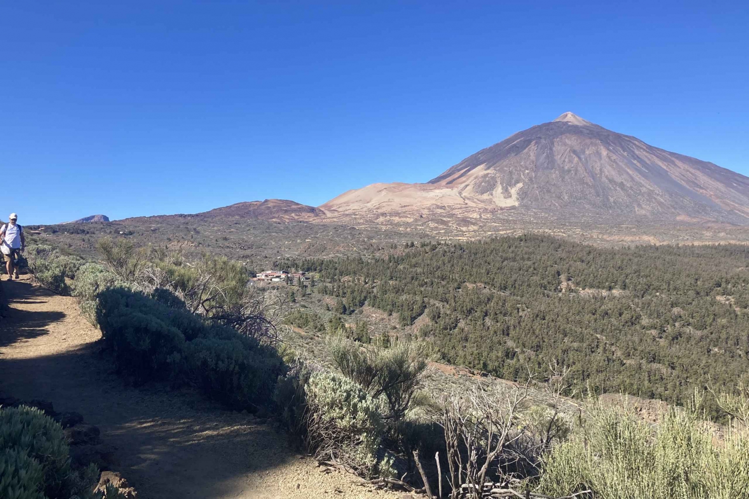Tenerife: Private Guided Mindful Hike Teide with transport