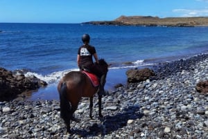 Tenerife South: Private Horseback Riding to the Coast & Brunch