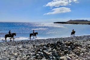 Tenerife South: Private Horseback Riding to the Coast & Brunch