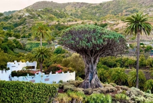 Tenerife: tour privado por la isla con desayuno y almuerzo