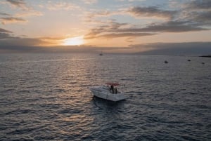 Tenerife: Privat luksusbåtopplevelse i solnedgangen
