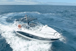 Teneriffa: Armani Charter välipaloilla ja juomilla 2-3-6 tuntia.