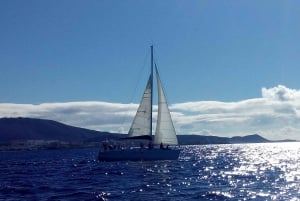 Tenerife: Private or Group 3 Hour Sailing Cruise with Drinks