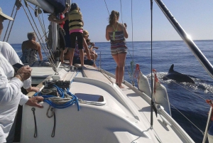 Tenerife: Private or Group 3 Hour Sailing Cruise with Drinks