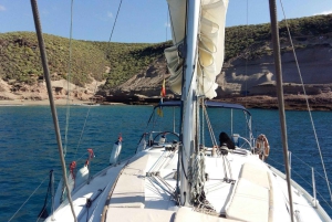 Tenerife: Privat eller gruppe 3 timers sejltur med drikkevarer