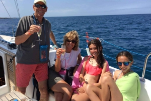 Tenerife: Privat eller gruppe 3 timers sejltur med drikkevarer