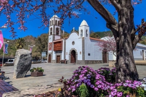 Teneryfa: Prywatna wycieczka Renault Twizy