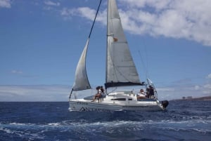 Tenerife: Sailing Experience with Snacks and Drinks