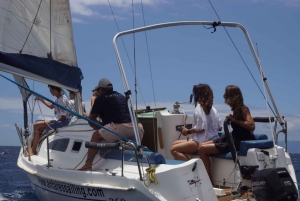 Teneriffa: Tenife: Yksityinen purjehdus kokemus välipaloilla ja juomilla