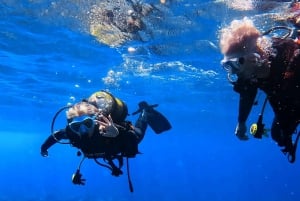 Tenerife: Scuba Diving Experience for Every Level