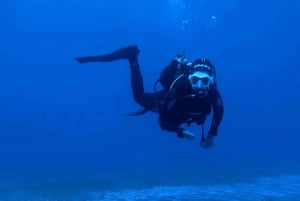 Tenerife: Scuba Diving Experience for Every Level