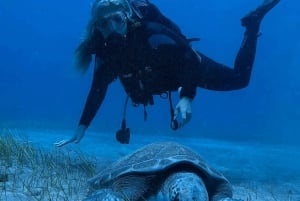 Tenerife: Scuba Diving Experience for Every Level