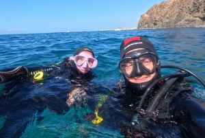 Tenerife: Experiencia privada de buceo con fotos