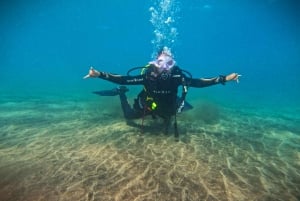Tenerife: Experiência de mergulho particular com fotos