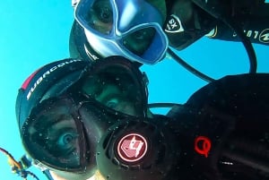 Teneriffa: Tenerife: Yksityinen sukelluskokemus valokuvien kanssa
