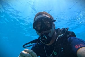Teneriffa: Tenerife: Yksityinen sukelluskokemus valokuvien kanssa
