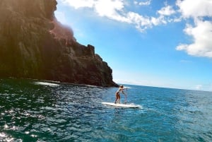 Tenerife: Private Standup Paddle and snorkel lesson with photos included