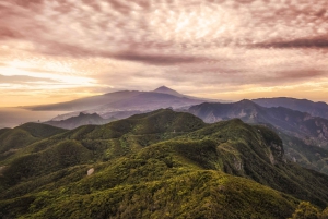 Tenerife : Excursion privée d'une journée à Taganana et Anaga avec prise en charge