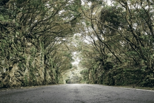 Tenerife : Excursion privée d'une journée à Taganana et Anaga avec prise en charge