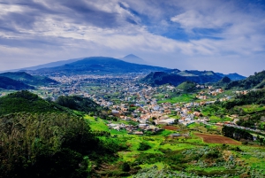 Tenerife : Excursion privée d'une journée à Taganana et Anaga avec prise en charge