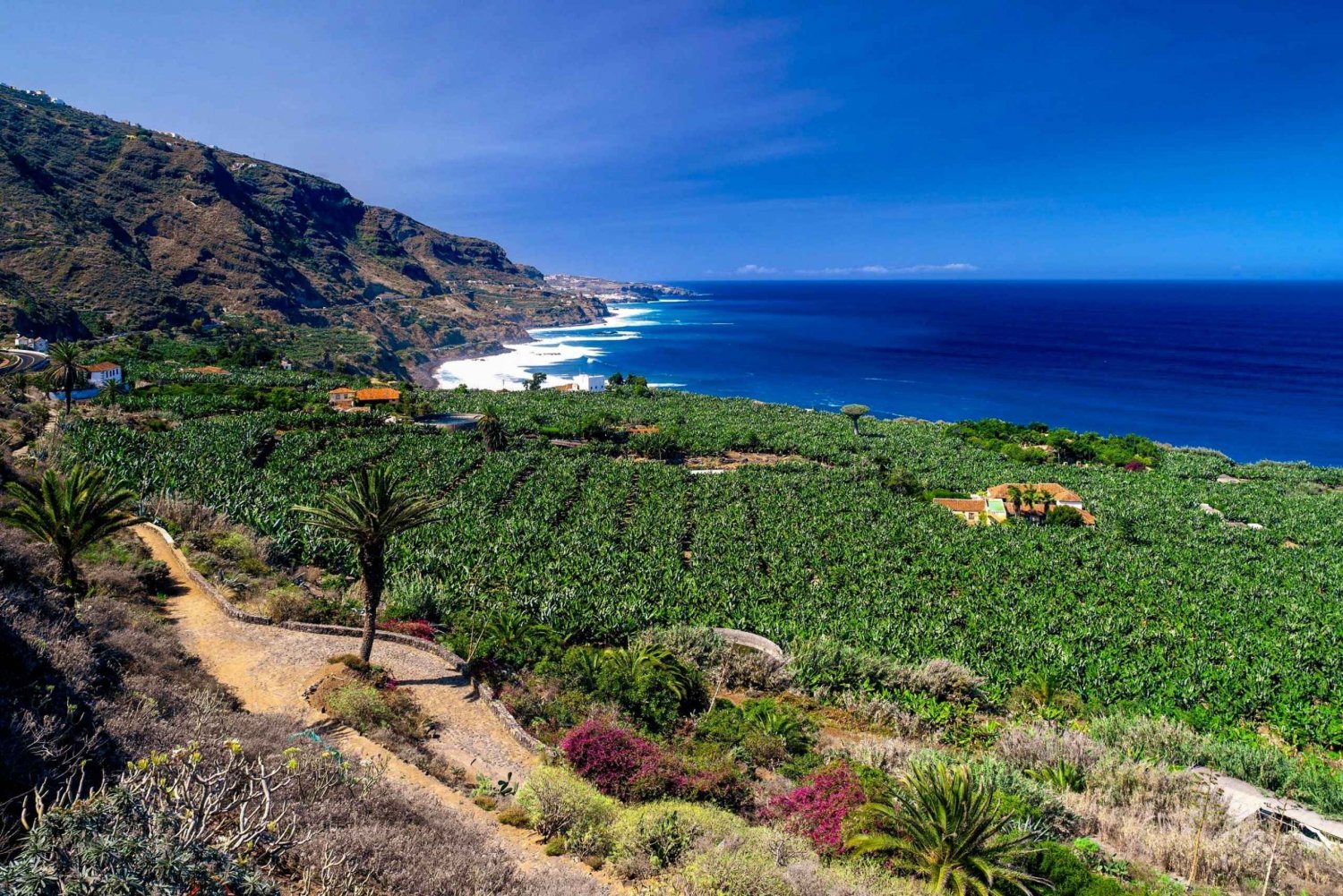 Privat tur på Tenerife: Historisk nord på en hel dag