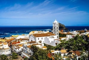 Tenerife Private Tour: Full-Day Historic North