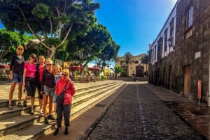 Tenerife Tour Privado: Día Completo Norte Histórico