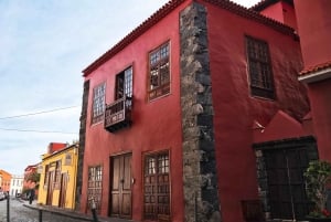 Tenerife Private Tour: Full-Day Historic North
