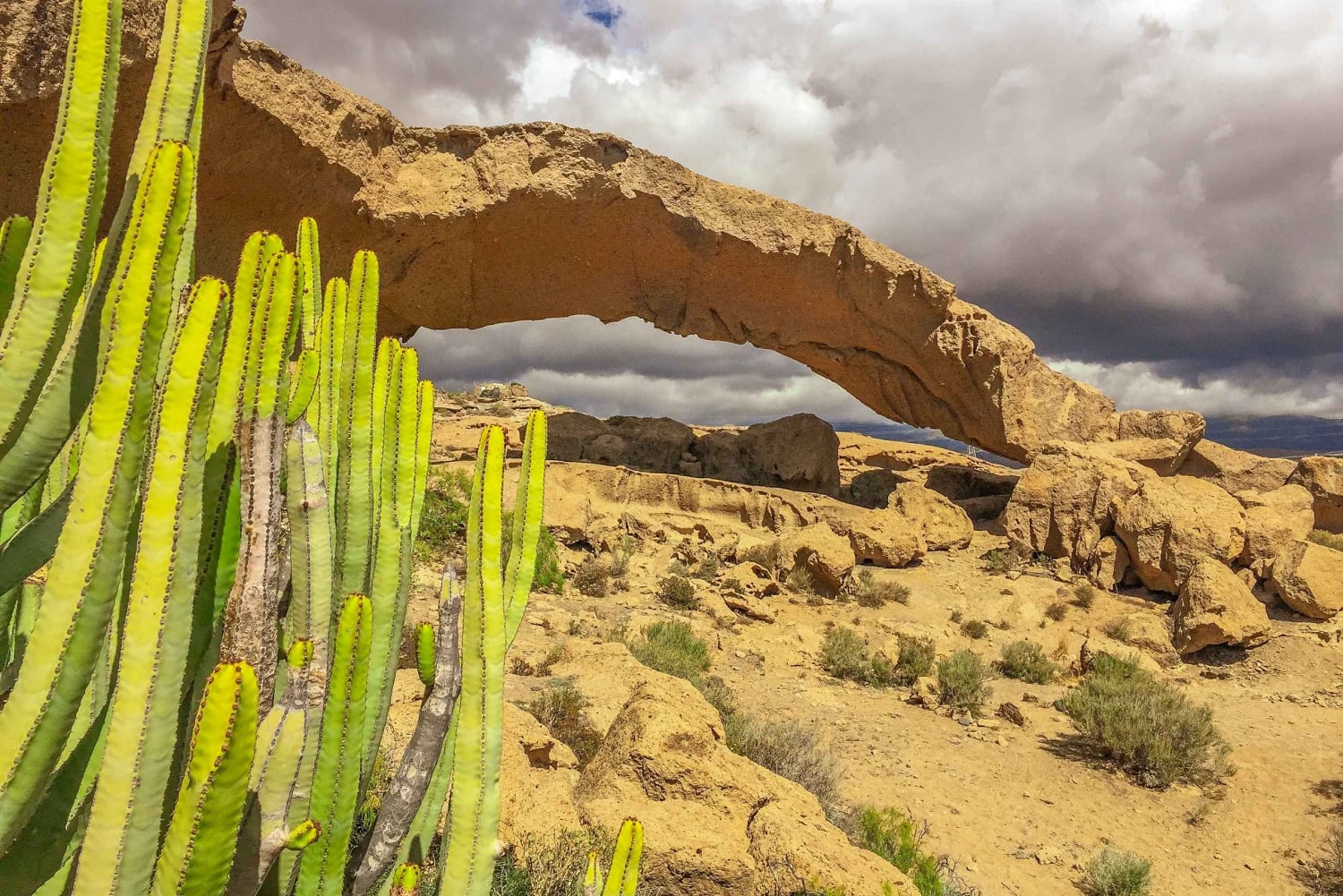 Tenerife privat tur: Heldags vulkansk syd