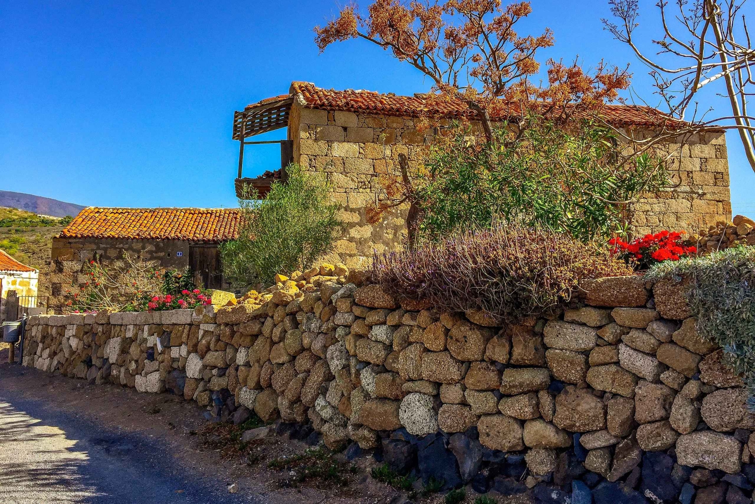 Tenerife privat tur: Heldags vulkansk syd